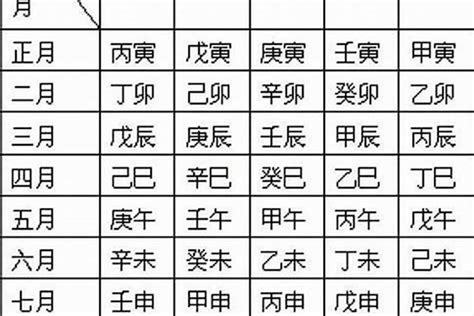 丙子日柱配偶|合八字 丙子日柱配偶命数特征 地支为子幽默风趣